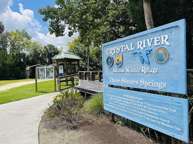 Three Sisters Springs photo 2