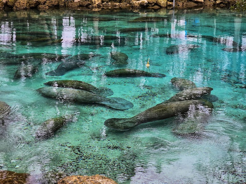 Three Sisters Springs photo 5