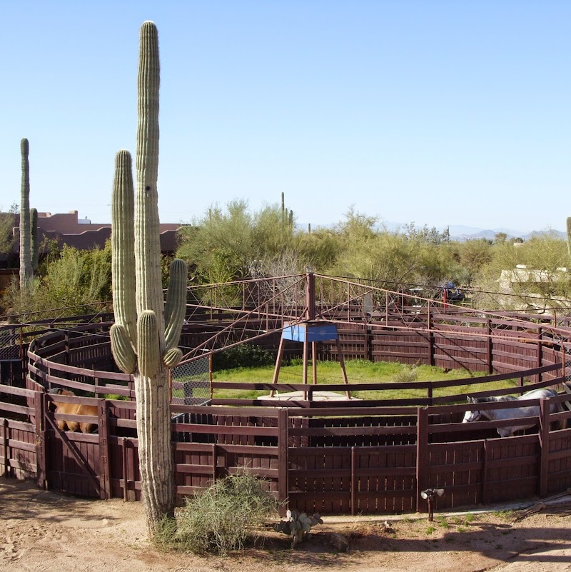 Twisted Tree Farm photo 2