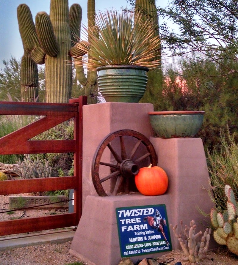 Twisted Tree Farm photo 4