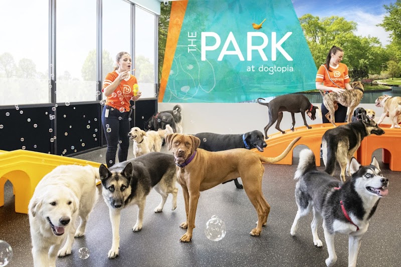 Photo of Dogtopia of Blackhawk