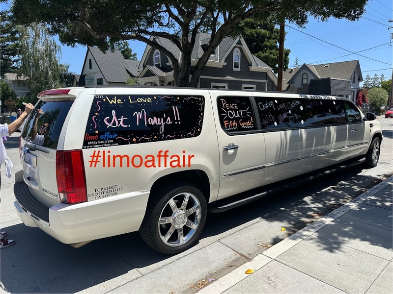 Limo Affair photo 4