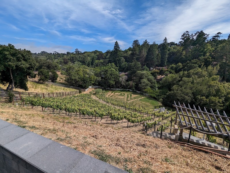 Photo of Perfusion Vineyard