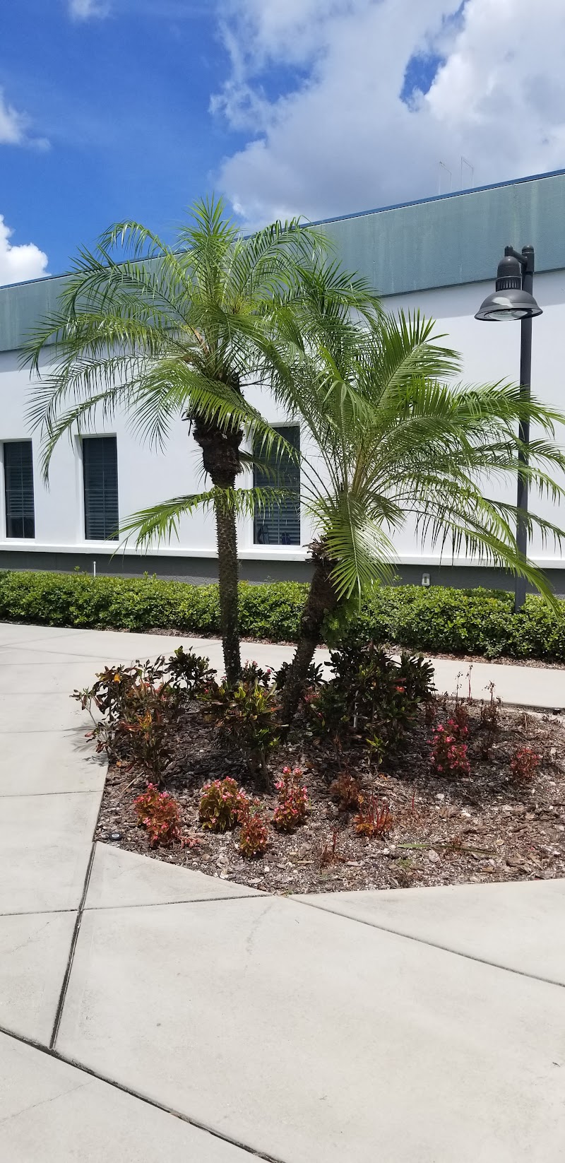 Sun City Center United Methodist Church photo 4