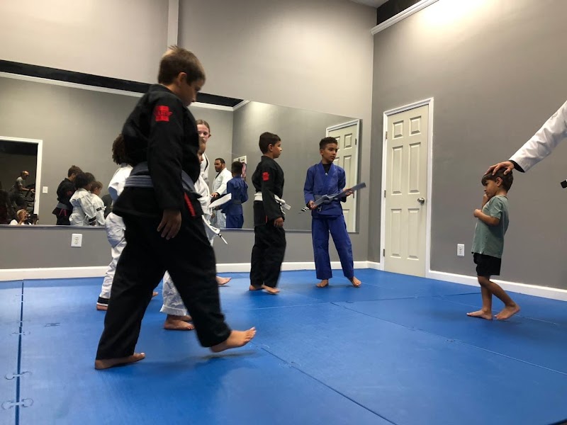Photo of Tavarez Martial Arts