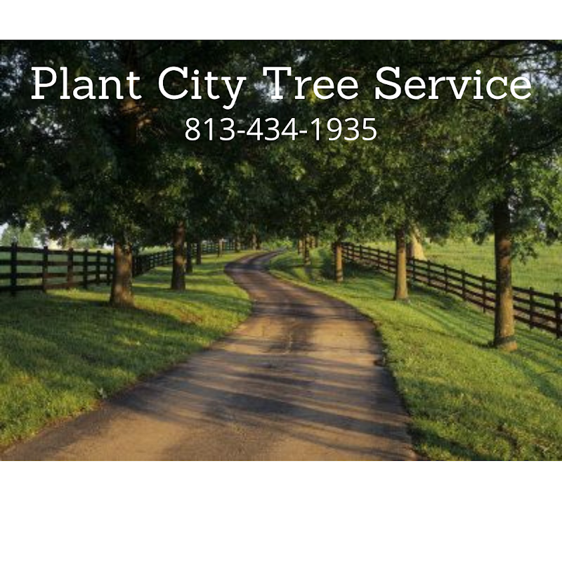 Photo of Plant City Tree Service