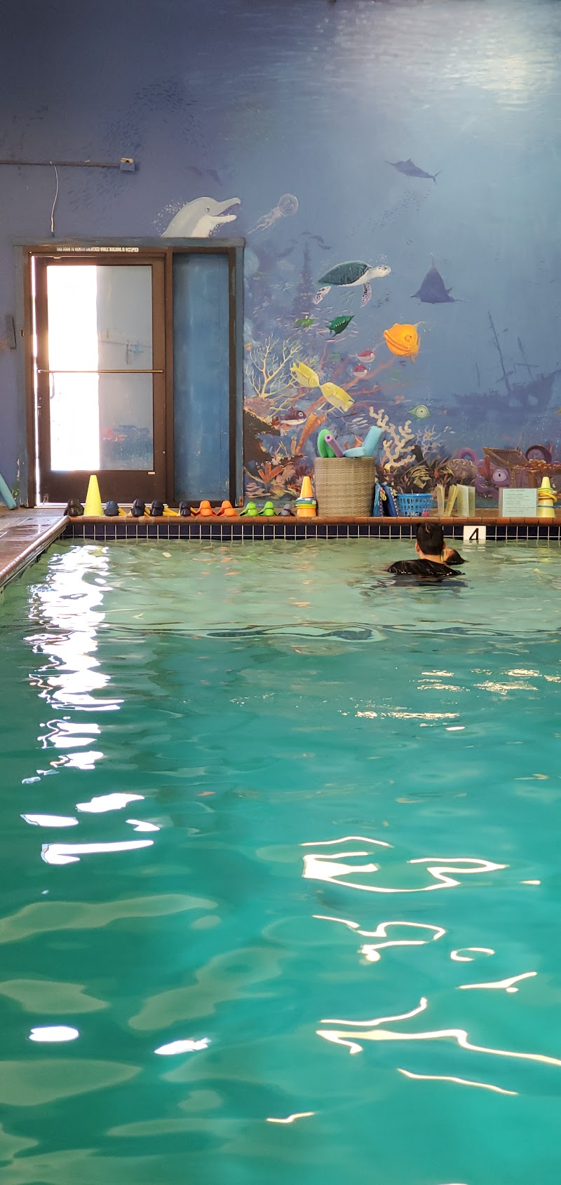 Anderson’s Swim School photo 3