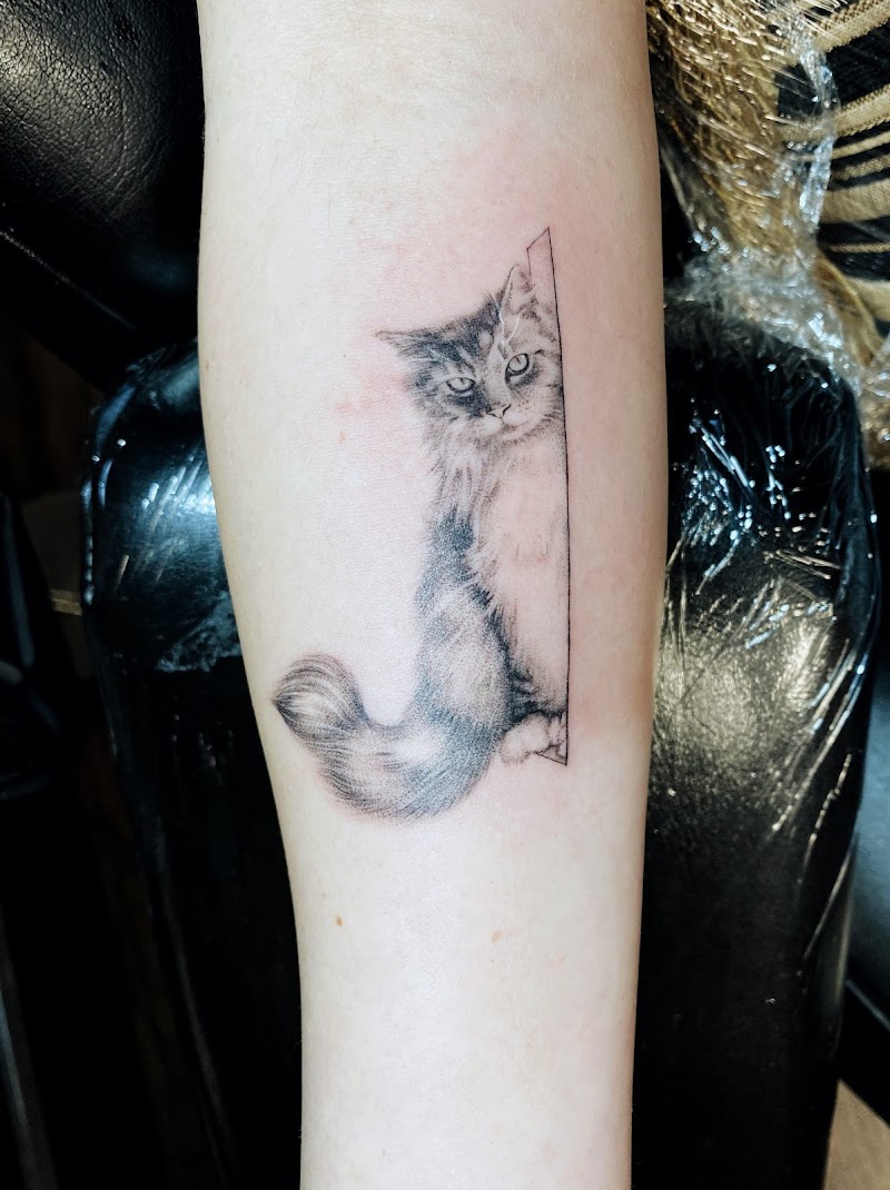 Baron Art Tattoo & Piercing Studio photo 3