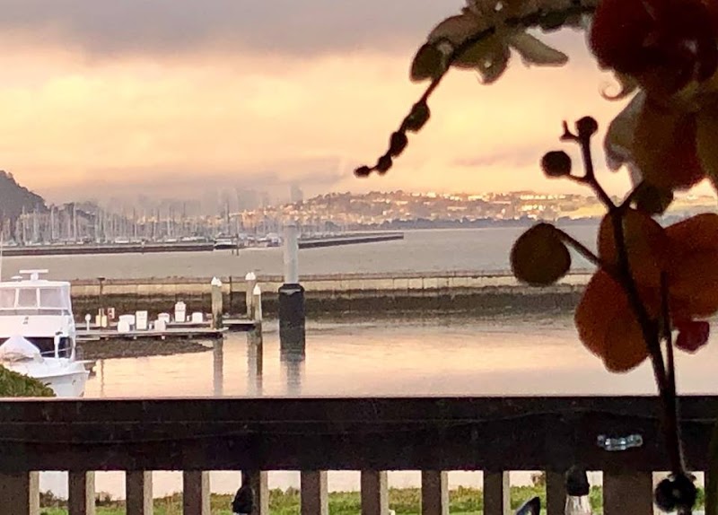 Oyster Point Yacht Club photo 5