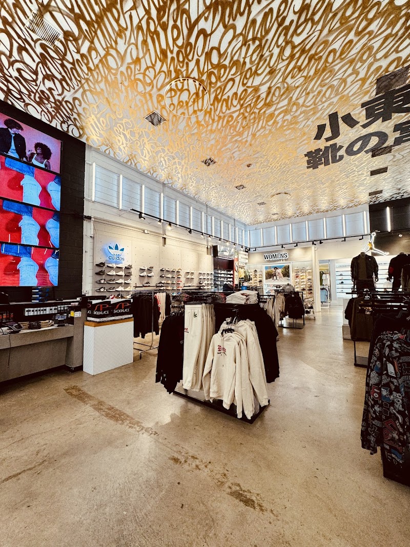 Shoe Palace photo 5