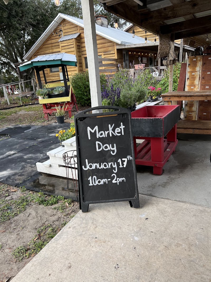 Southern Sunshine Farms photo 2
