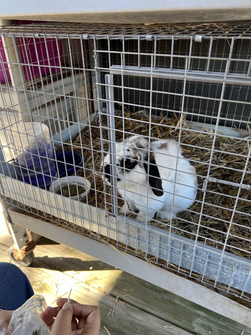 Southern Sunshine Farms photo 4