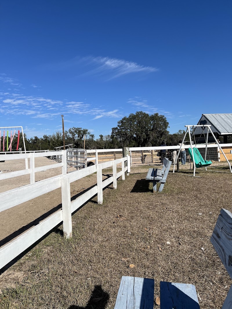 Photo of Southern Sunshine Farms