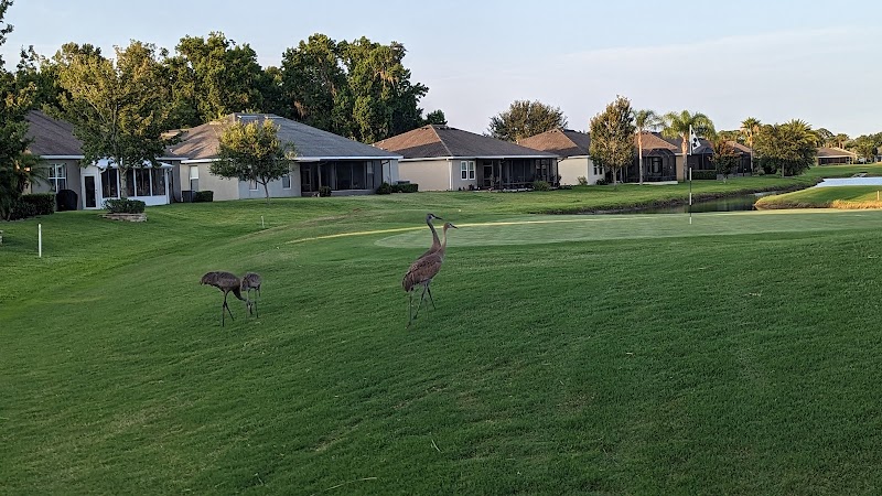 Tampa Bay Community Association Inc photo 3