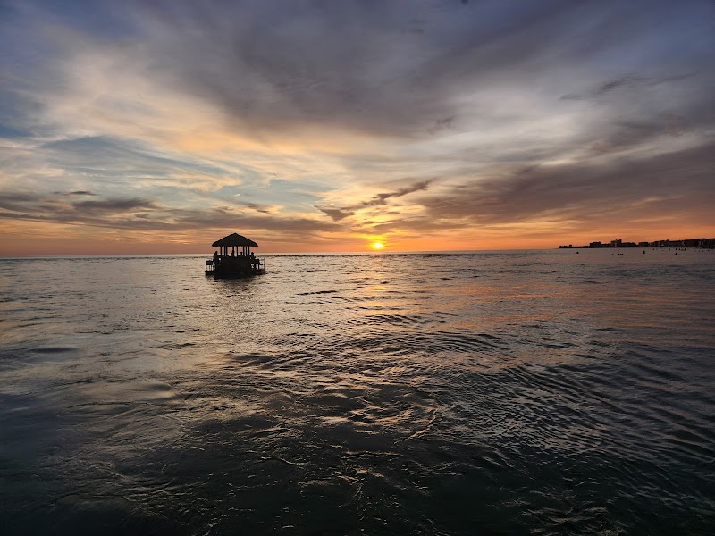 Florida Tiki Tours photo 3
