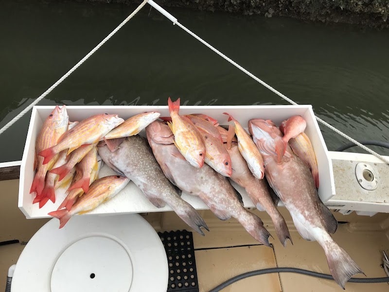 Salty Confusion Fishing Charters photo 5
