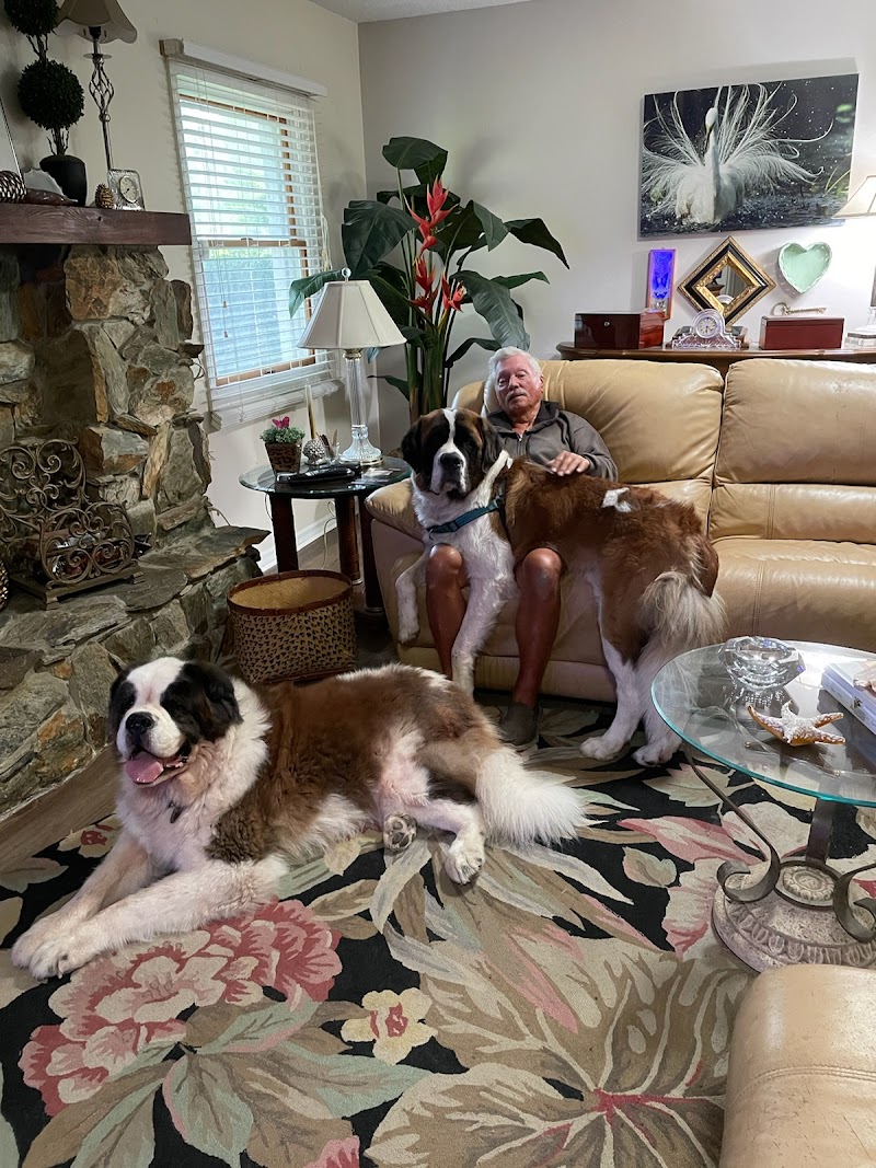 Noah's Mobile Vet Clinic photo 2