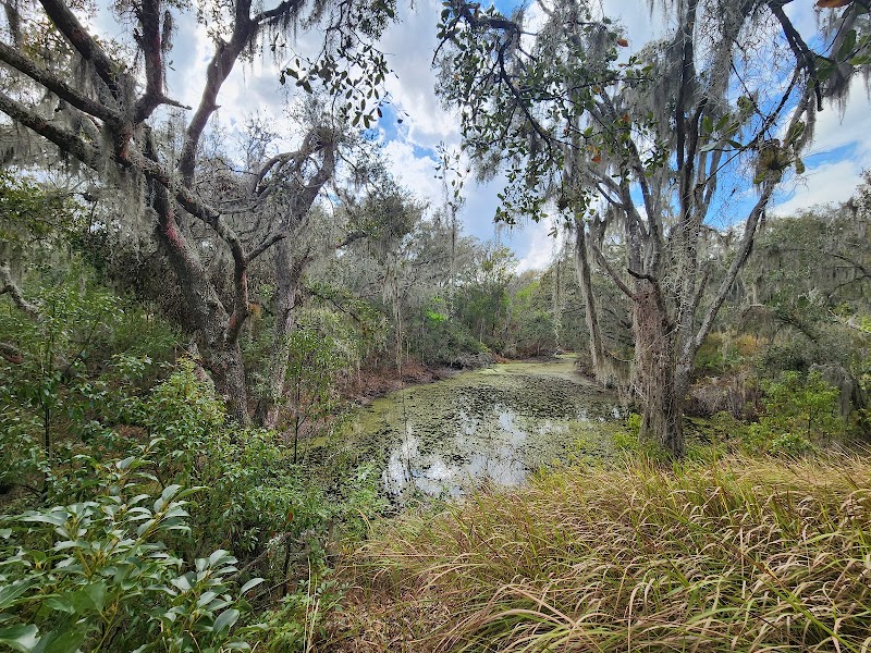 Photo of Sydney Dover Trails