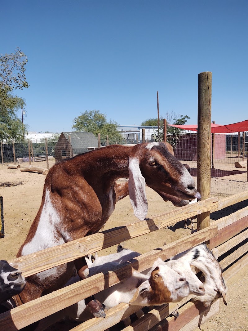 Ghost Ranch Exotics photo 2