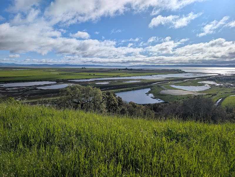 San Pablo Bay National Wildlife Refuge photo 2