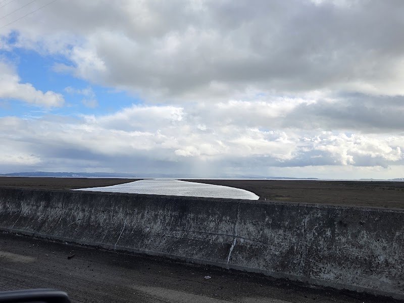 San Pablo Bay National Wildlife Refuge photo 5