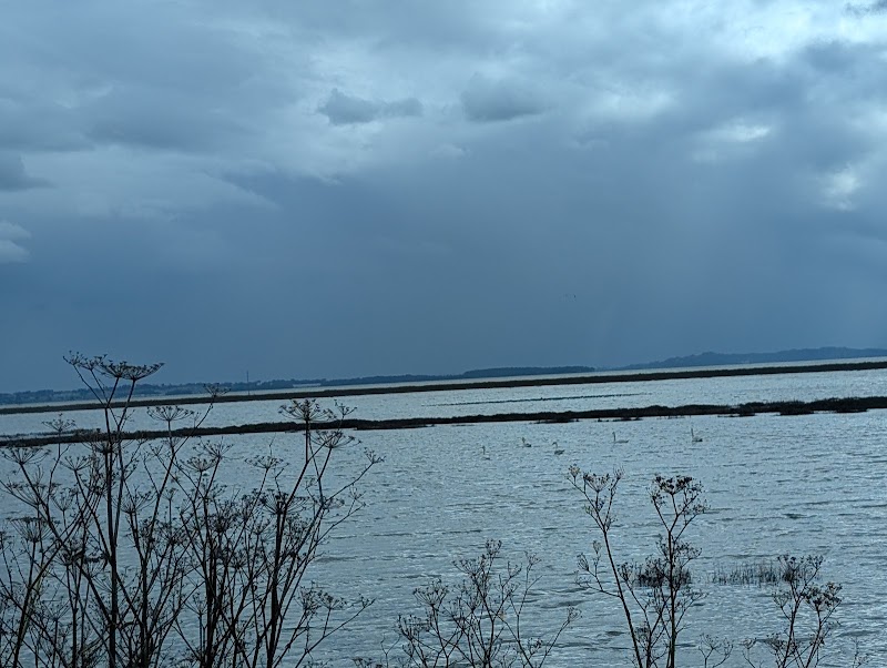 Photo of San Pablo Bay National Wildlife Refuge