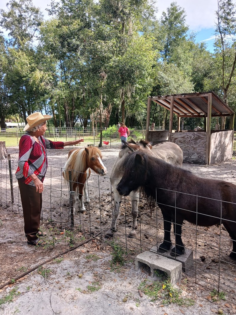 Maria's Farm photo 5