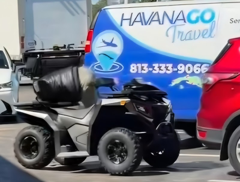 Havana Go Travel photo 5