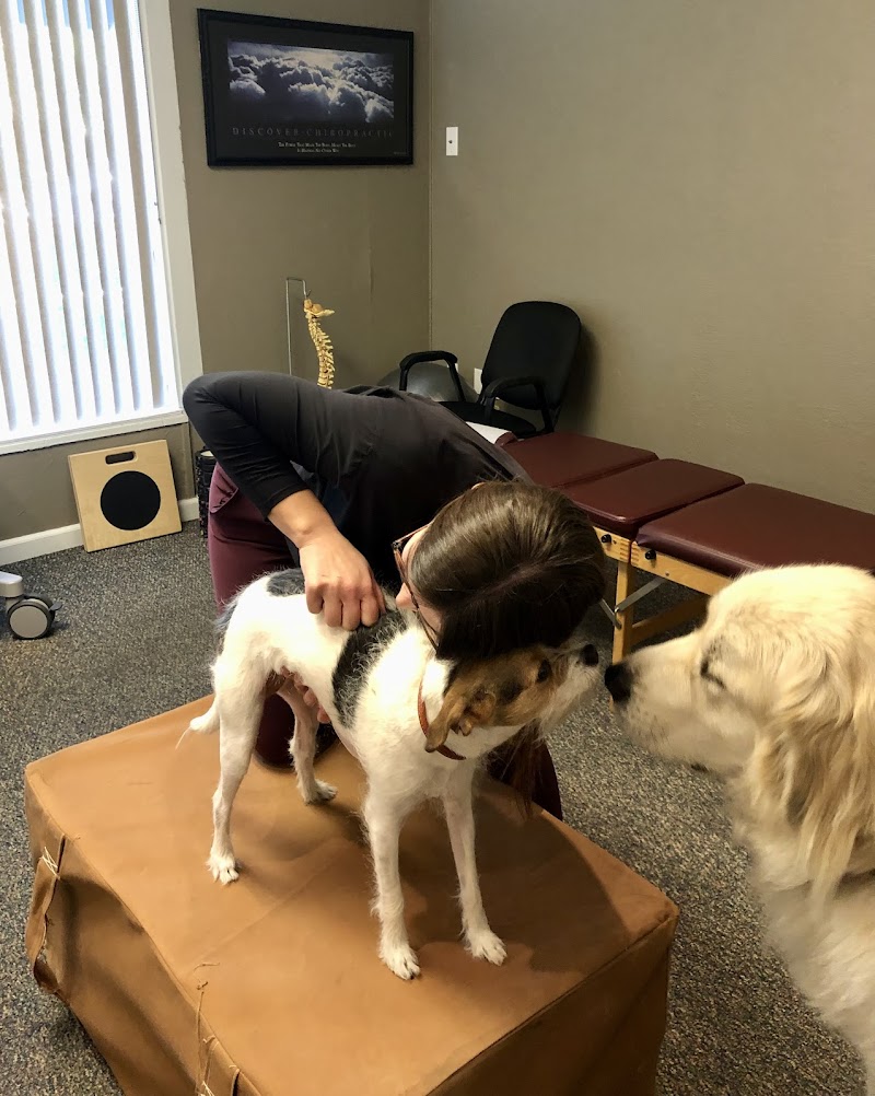 Better Life Chiropractic photo 4