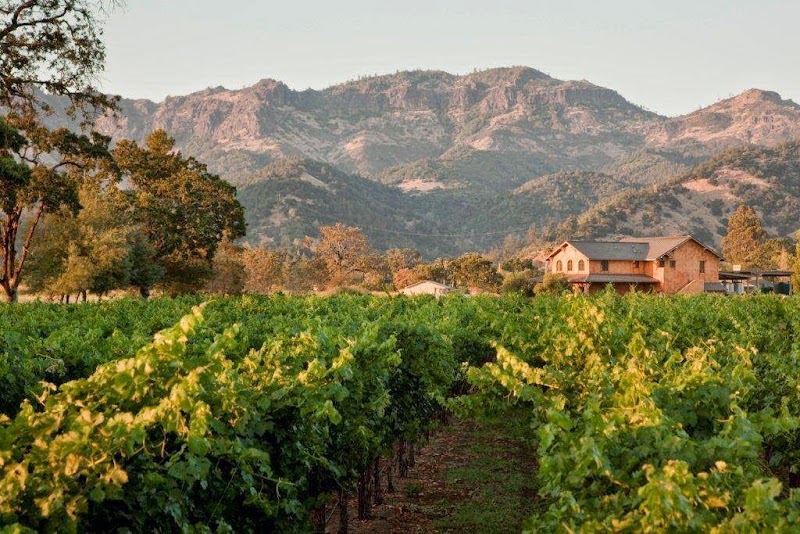 Envy Wines photo 4