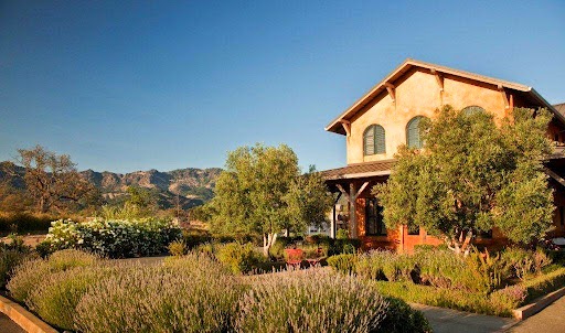 Photo of Envy Wines