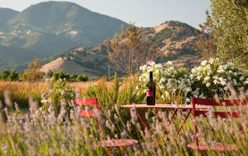 Envy Wines photo 5