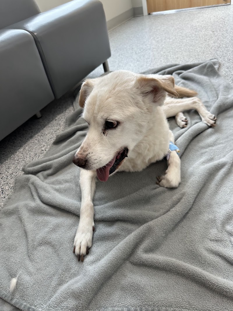 Riverside Pet Care photo 5