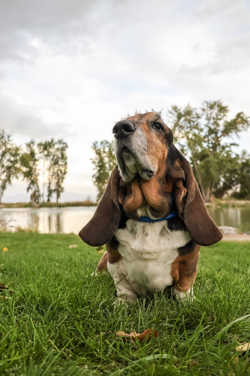 Photo of Riverside Pet Care