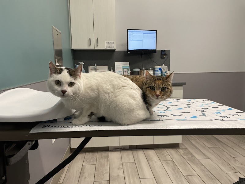Riverside Pet Care photo 2