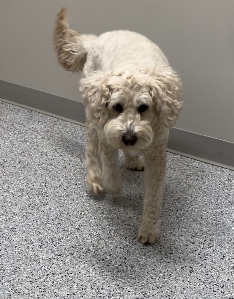 Riverside Pet Care photo 4