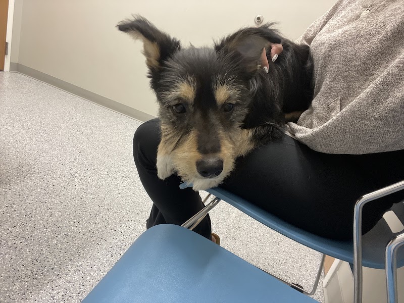 Riverside Pet Care photo 3