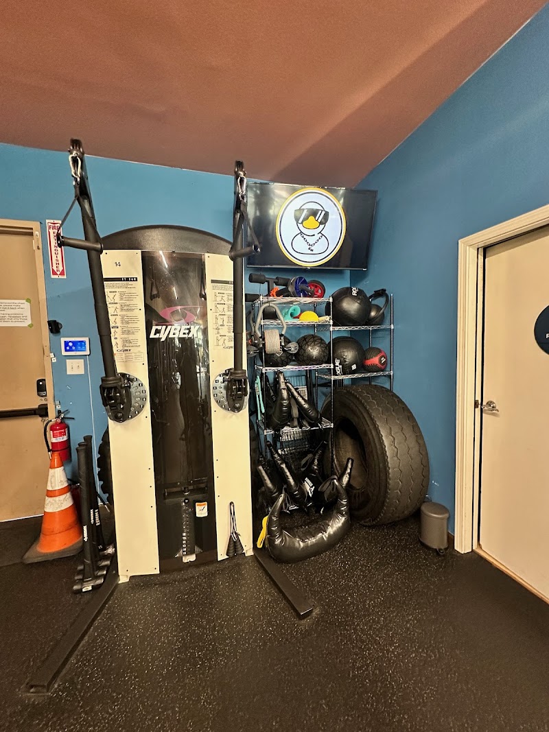 Chain Reaction Fitness & Nutrition photo 2