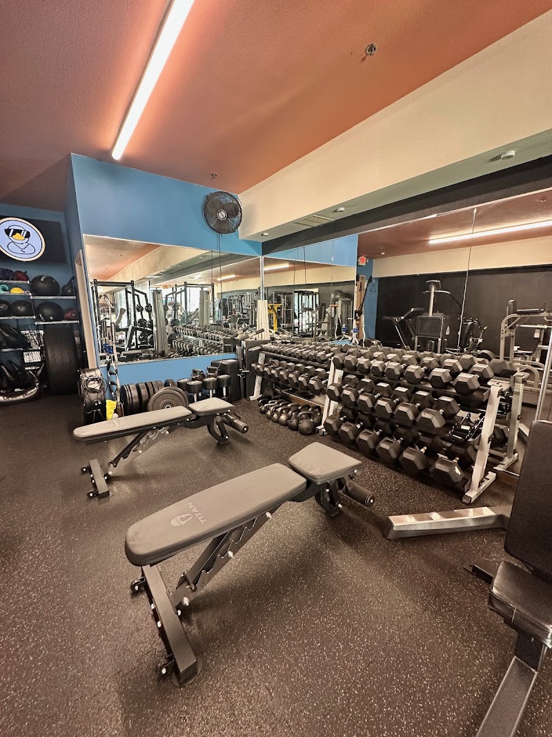 Photo of Chain Reaction Fitness & Nutrition