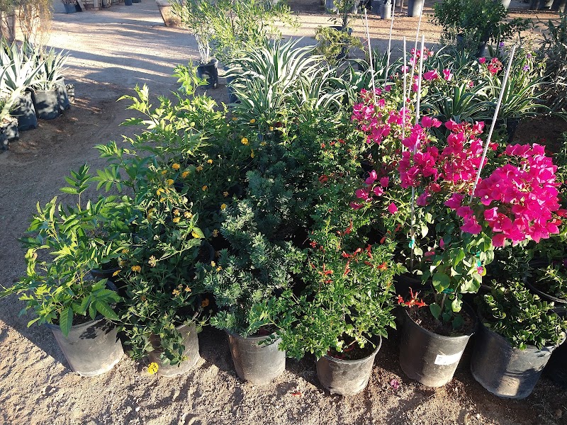 Espinoza’s Landscaping materials photo 4