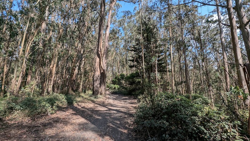 Photo of Pacifica bike trails