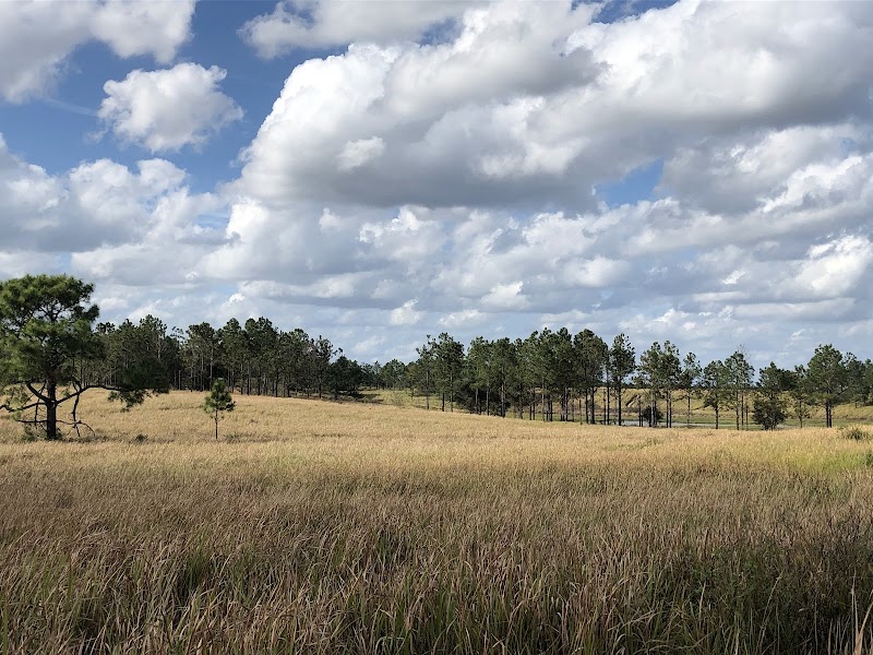 Clear Springs Ranch photo 3