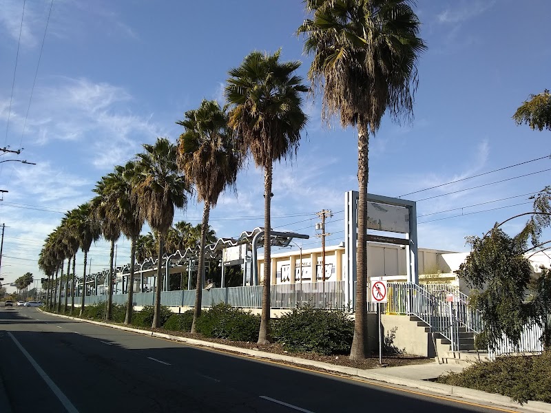 Expo / Western photo 2