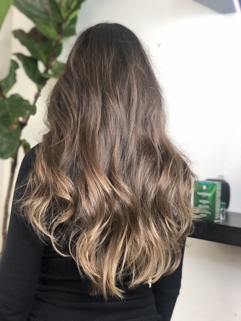 Photo of Edite's Salon