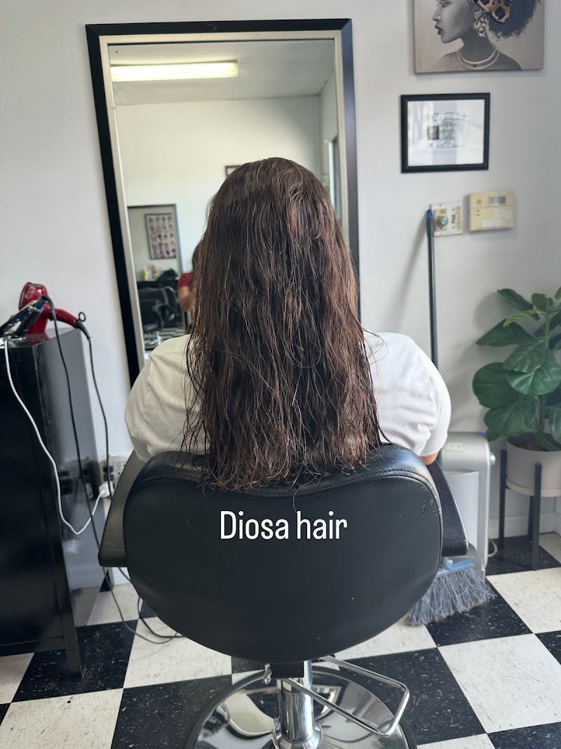 Diosa Hair LLC photo 3