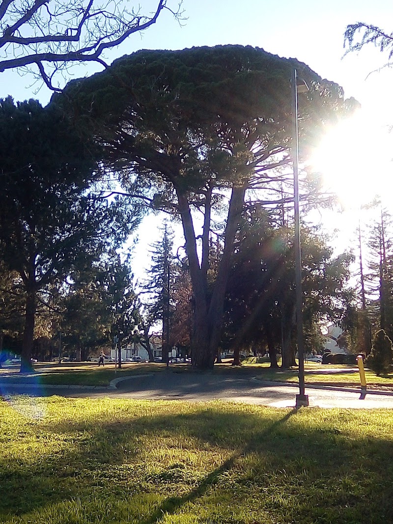 Photo of San Joaquin Delta College