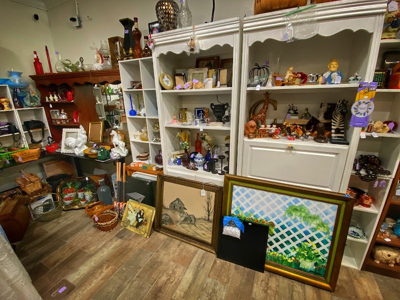 Thrift RX photo 5