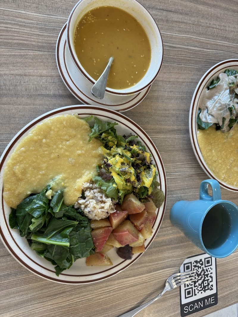 Himalaya Vegan Organic Restaurant photo 4