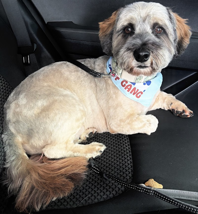 Woof Gang Bakery & Grooming Evergreen
