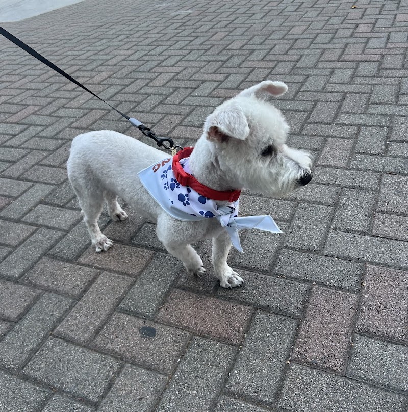 Woof Gang Bakery & Grooming Evergreen photo 3